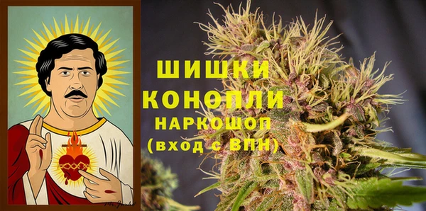 прущая мука Каменка