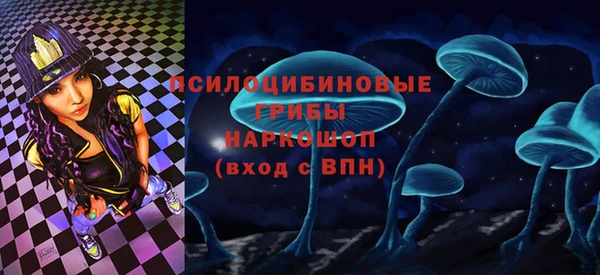прущая мука Каменка