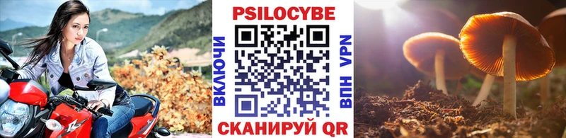 Псилоцибиновые грибы Magic Shrooms Кировград