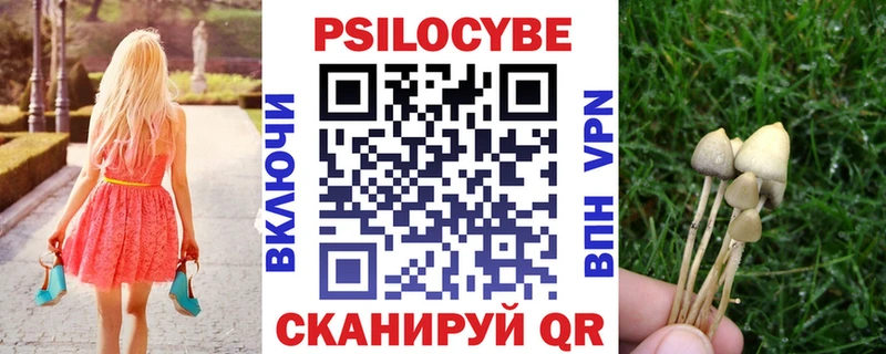 Галлюциногенные грибы ЛСД  дарнет шоп  Кировград 